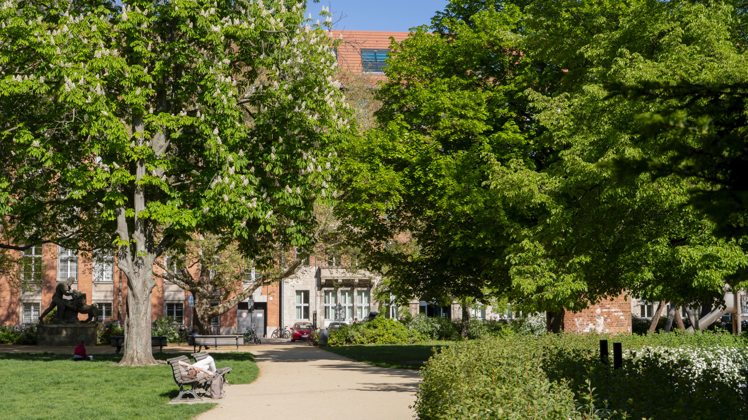 Die PHB und der Köllnische Park